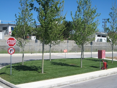 Μετά